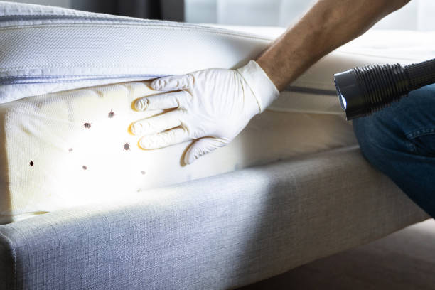 Best Affordable Pest Control Services  in Highland, MD
