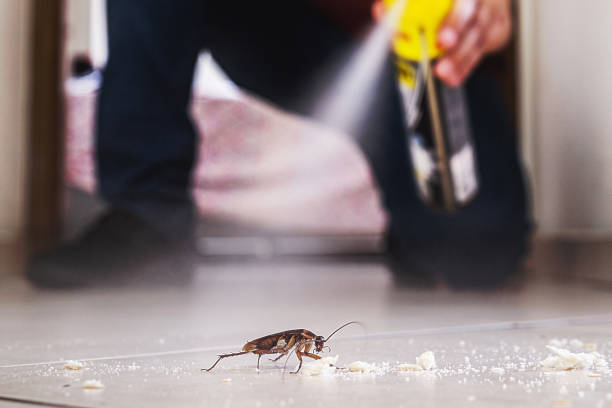 Best Pest Inspection Near Me  in Highland, MD