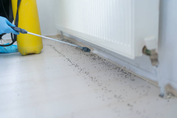 Best Best Pest Control Companies  in Highland, MD